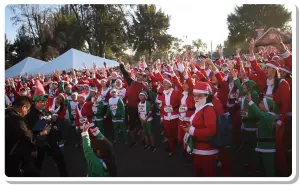 Foto número 7 de galería