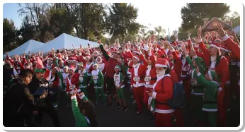 Foto número 7 de galería